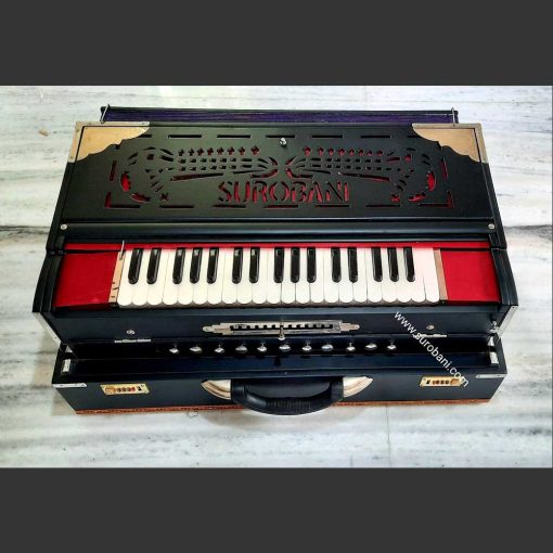 Professional quality Premier reed 13 scale changer Harmonium